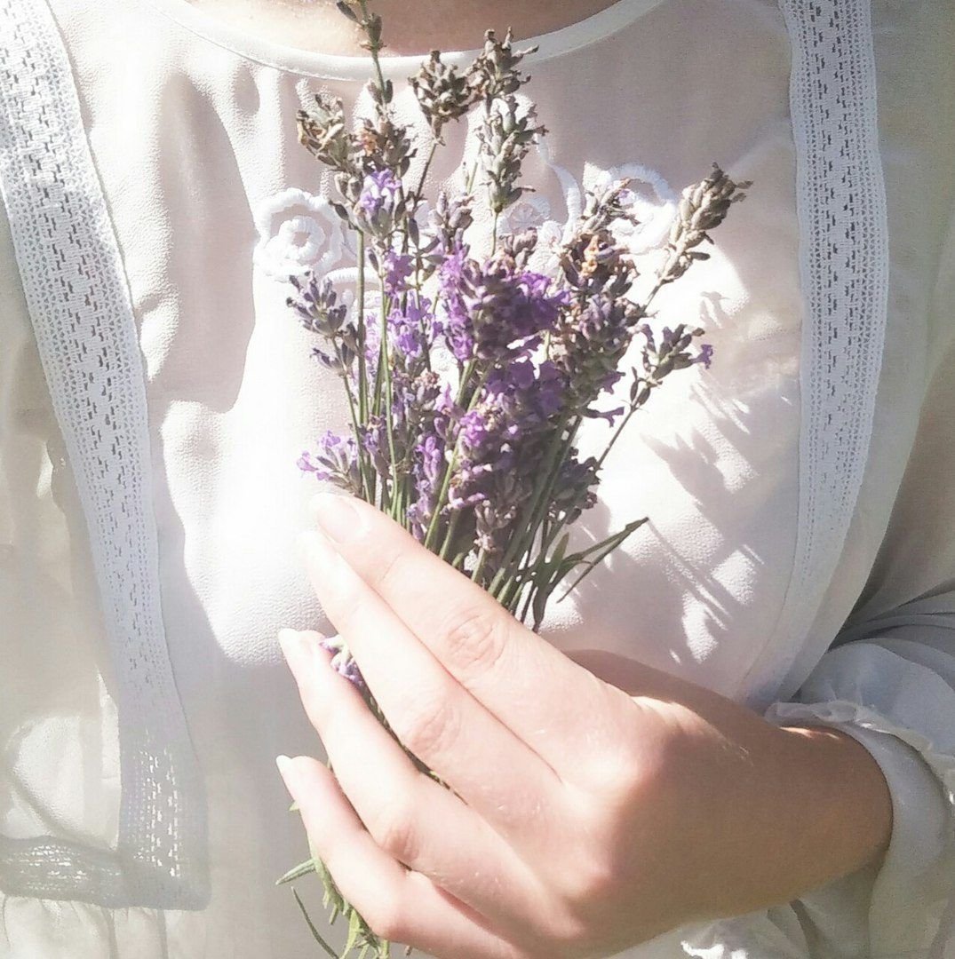 Солнце радость