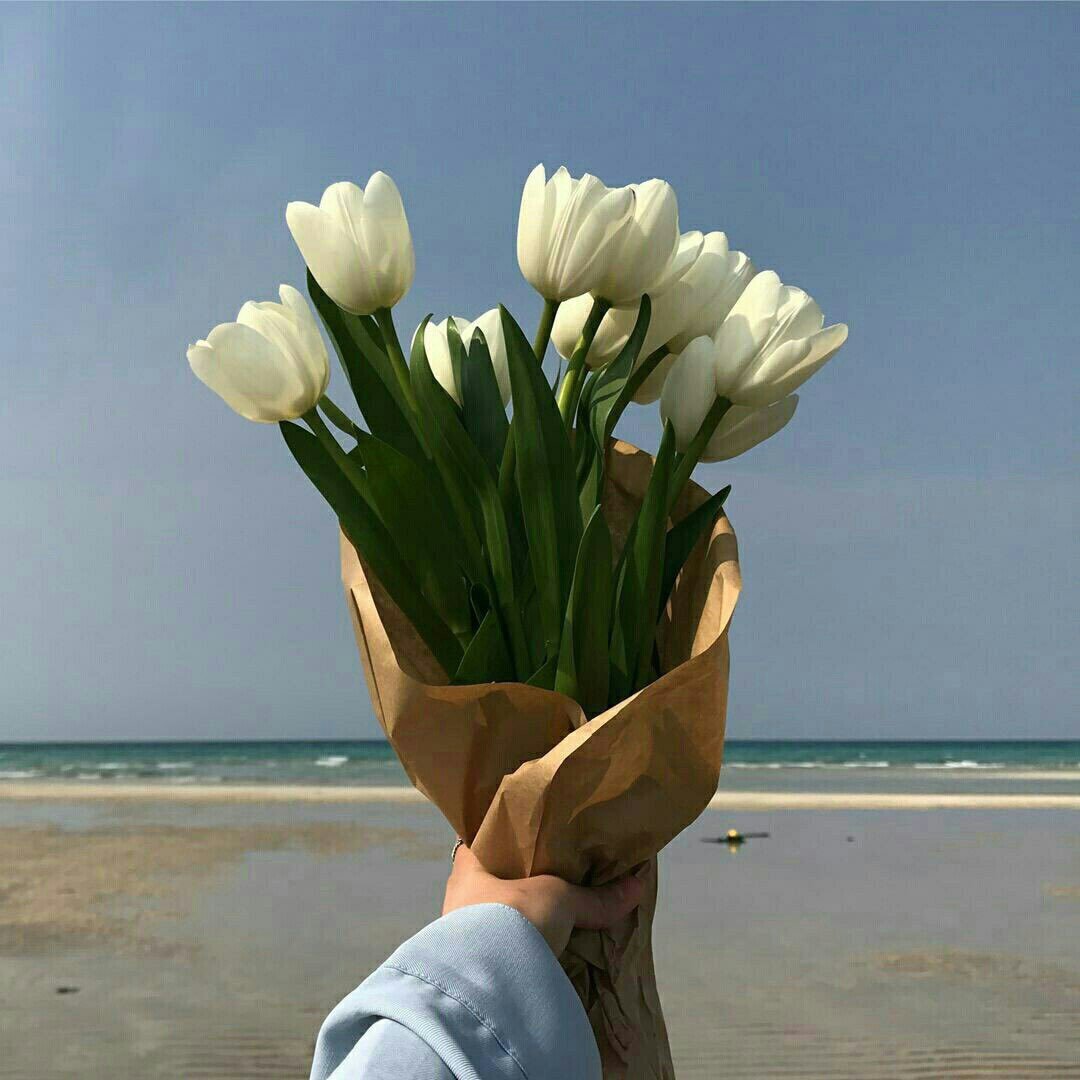 Цитаты про море