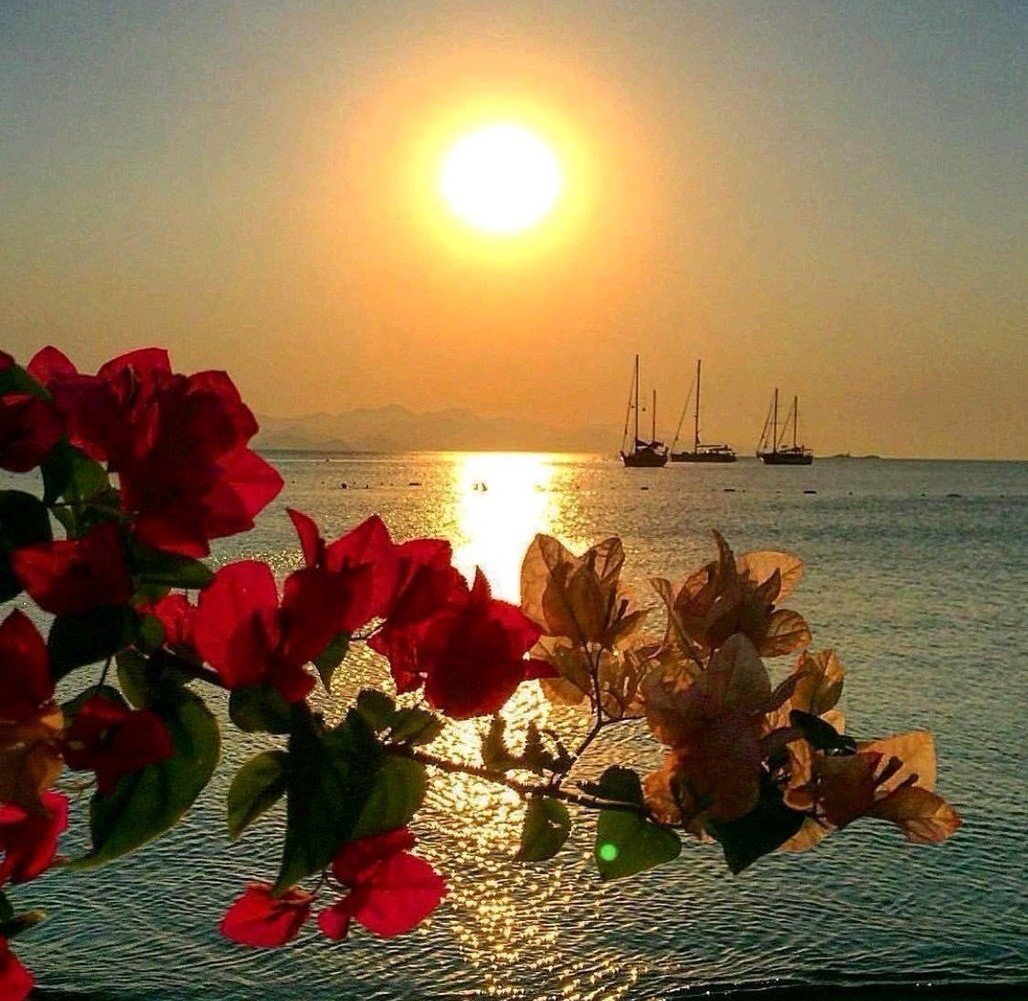 Чудесный закат