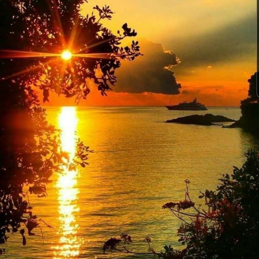 Парусник вдалеке