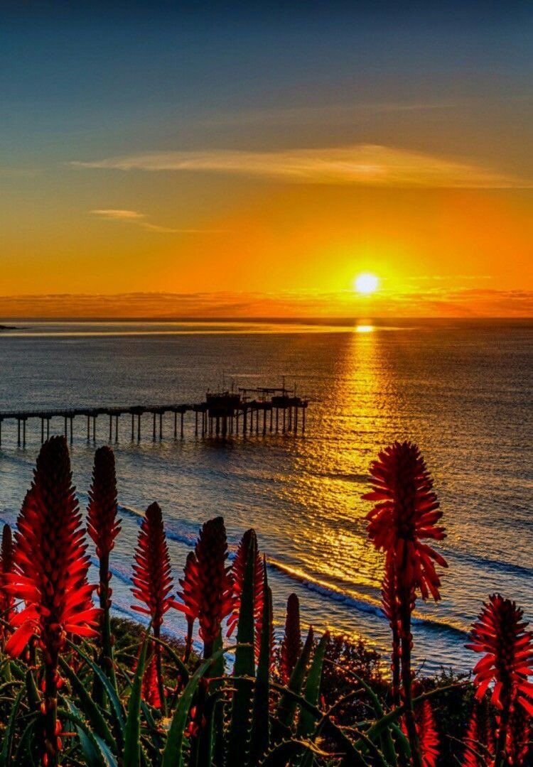 Балаклава Крым ночью