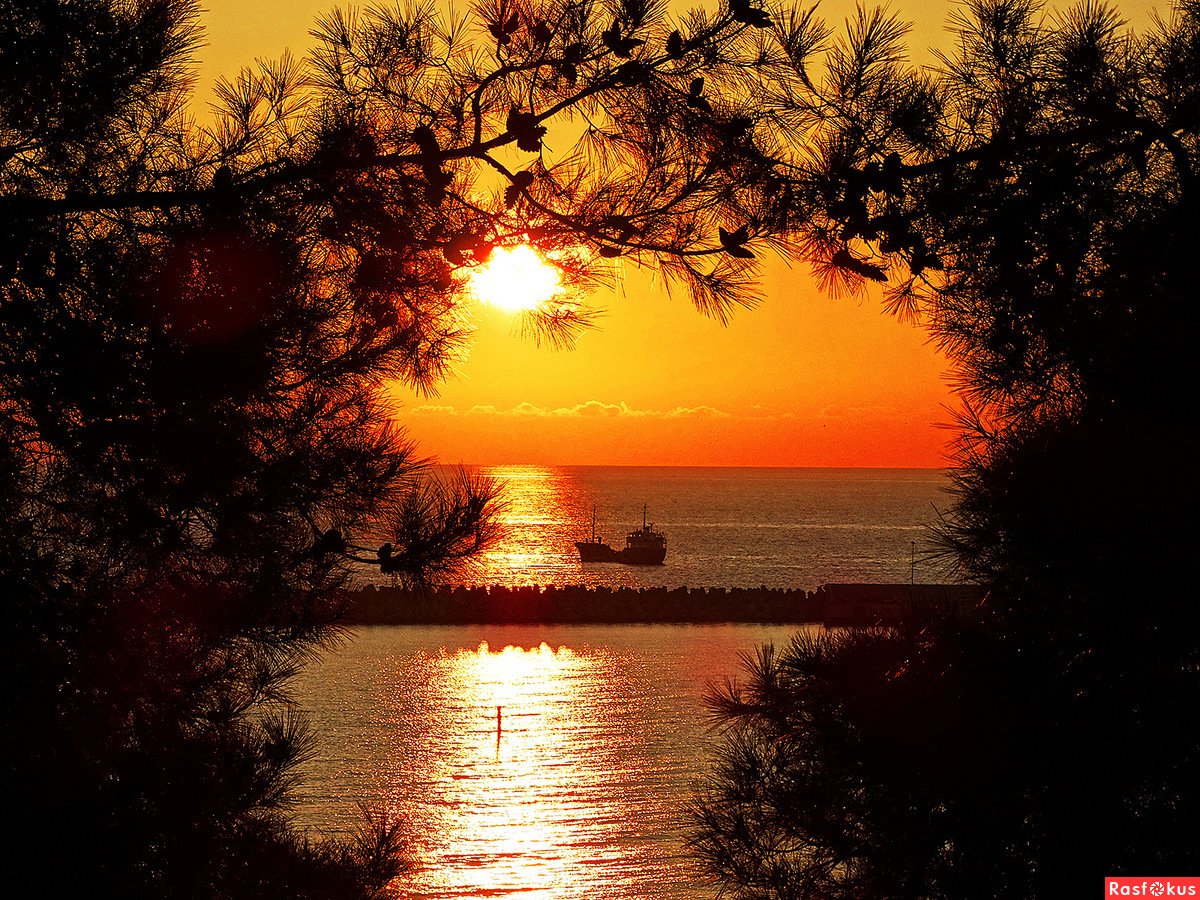 Луна на закате