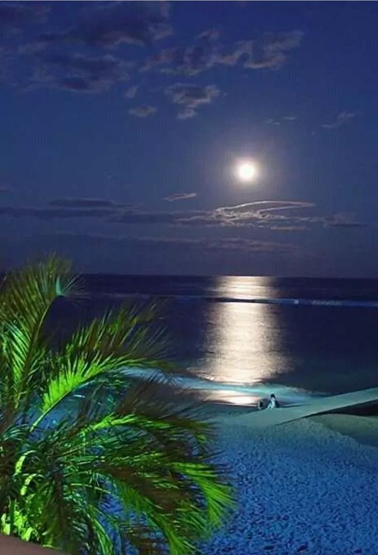 Добрый вечер с морским пейзажем