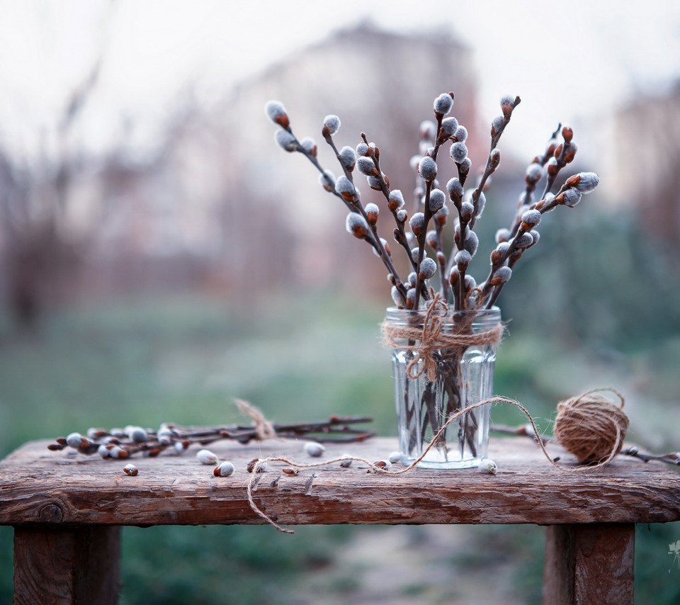 Запах вербы