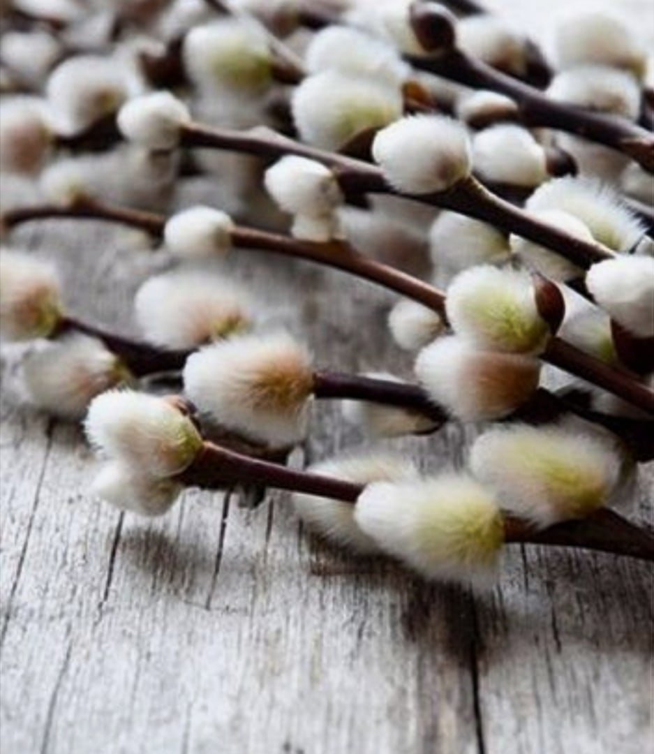 Вербное воскресенье поздравления