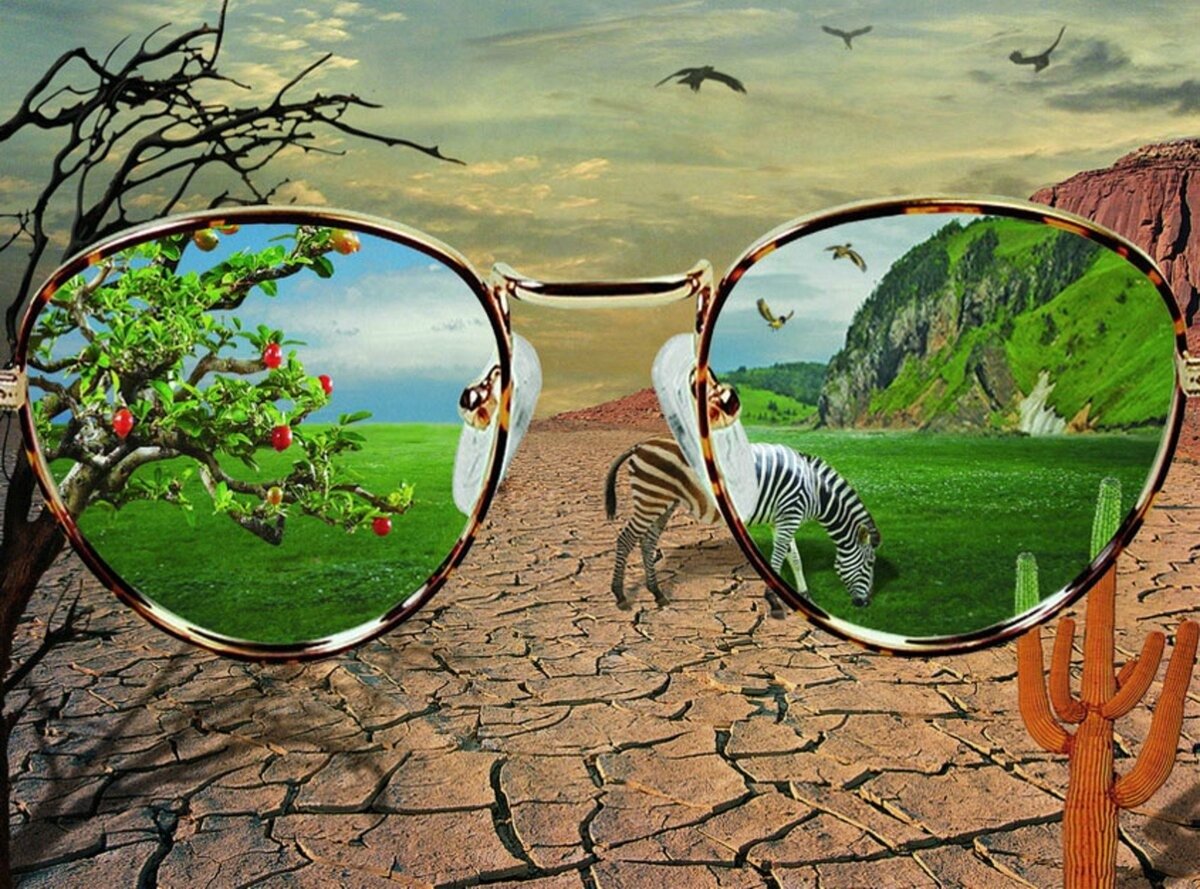 Позитивный взгляд на мир