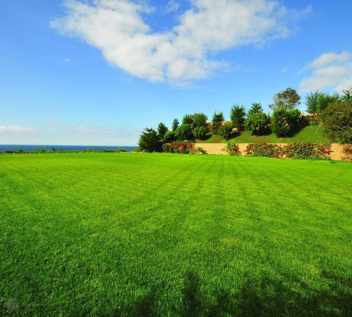 Земельный участок