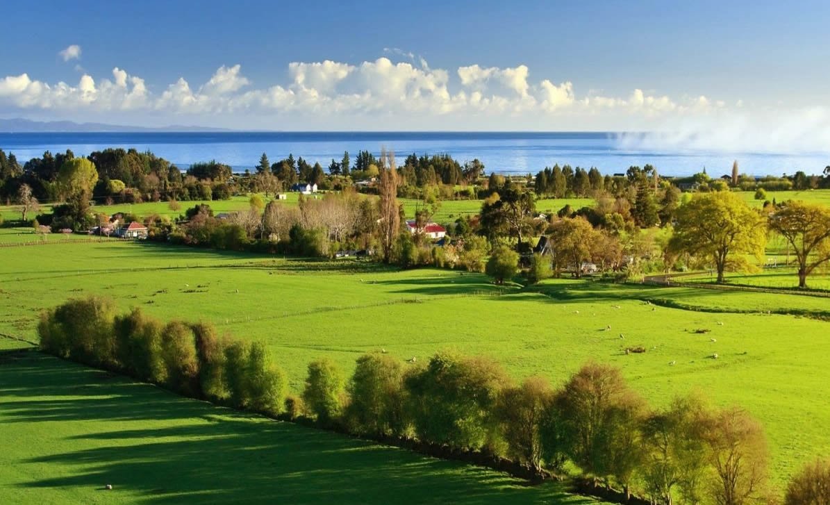 Земельный участок природа