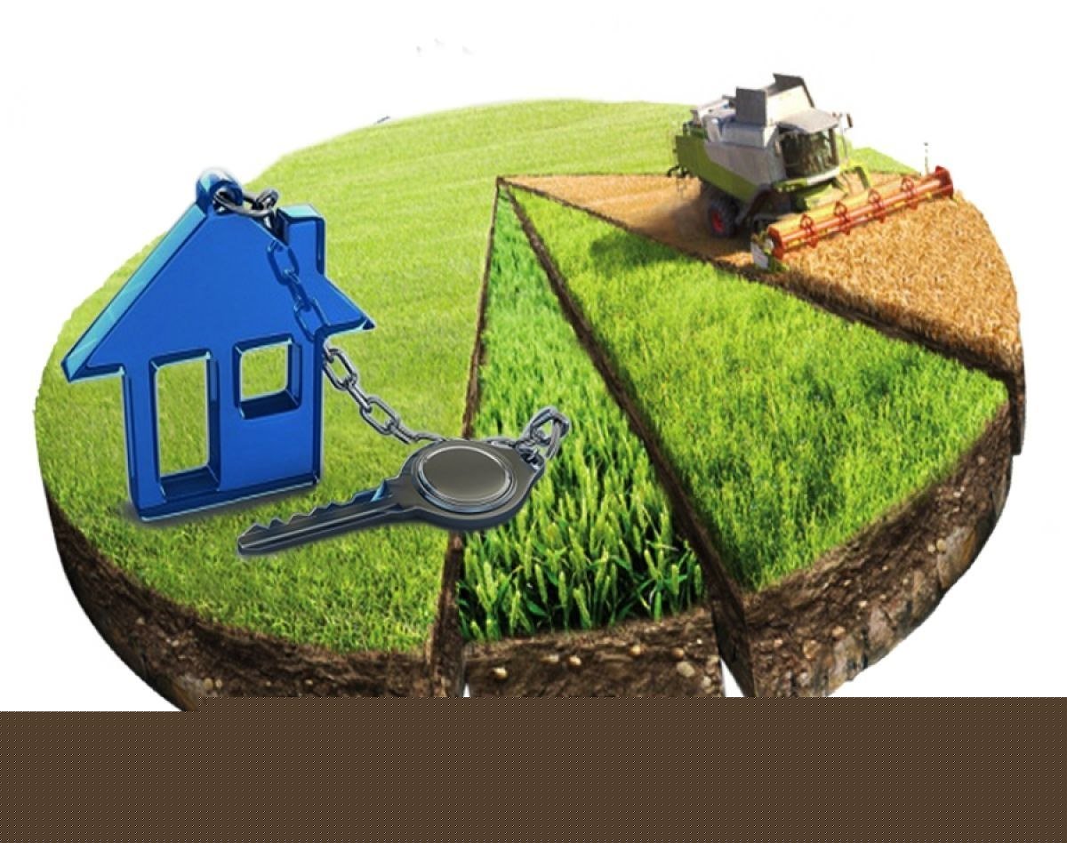 Домик с газоном