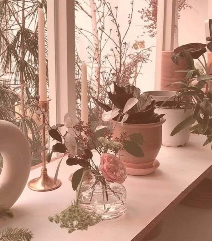 Бежево розовая Эстетика