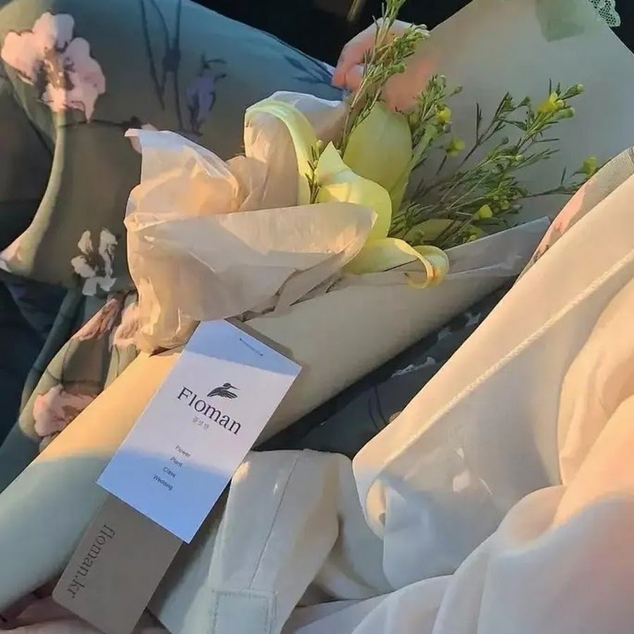 Нежная Эстетика