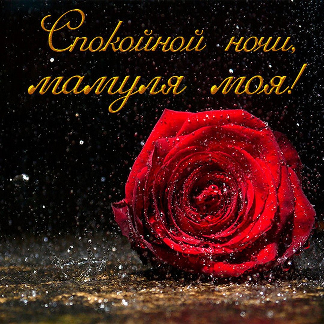 Спокойной ночи мама