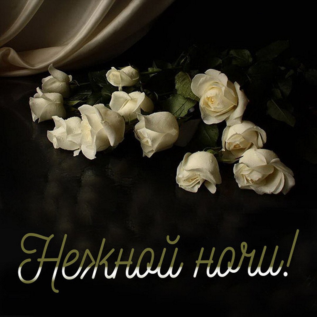 Милые иллюстрации снов