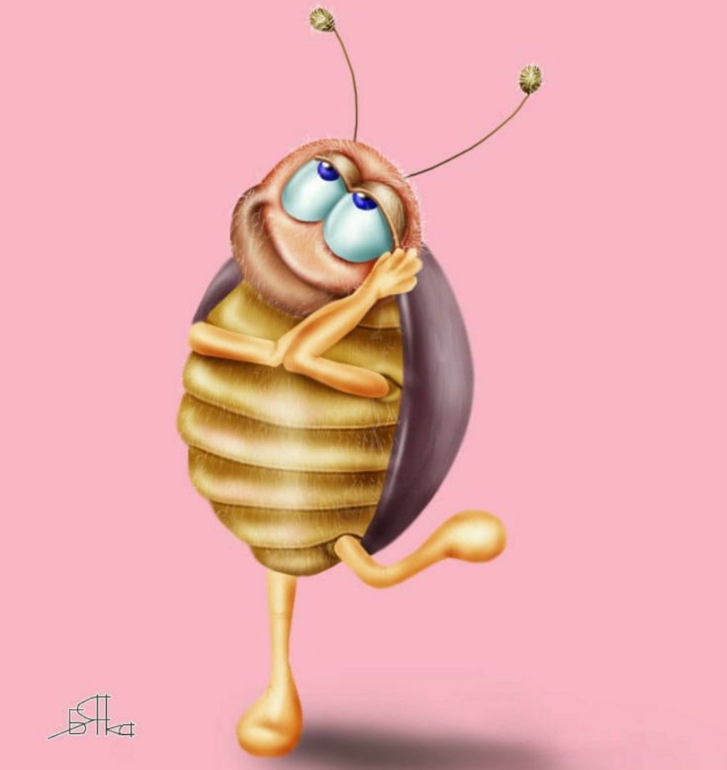 Жучок картинка