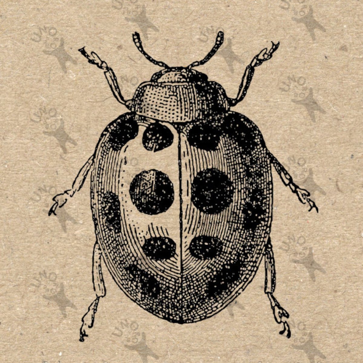 Боевые жуки логотип