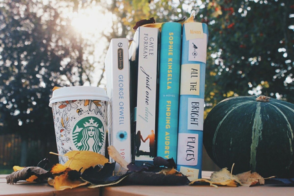 Осенняя Эстетика учеба