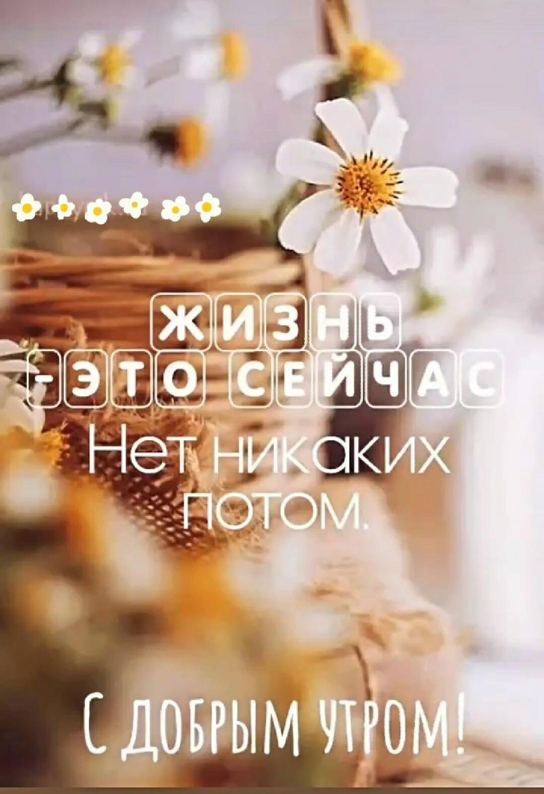 Доброе утро Мотивирующие цитаты