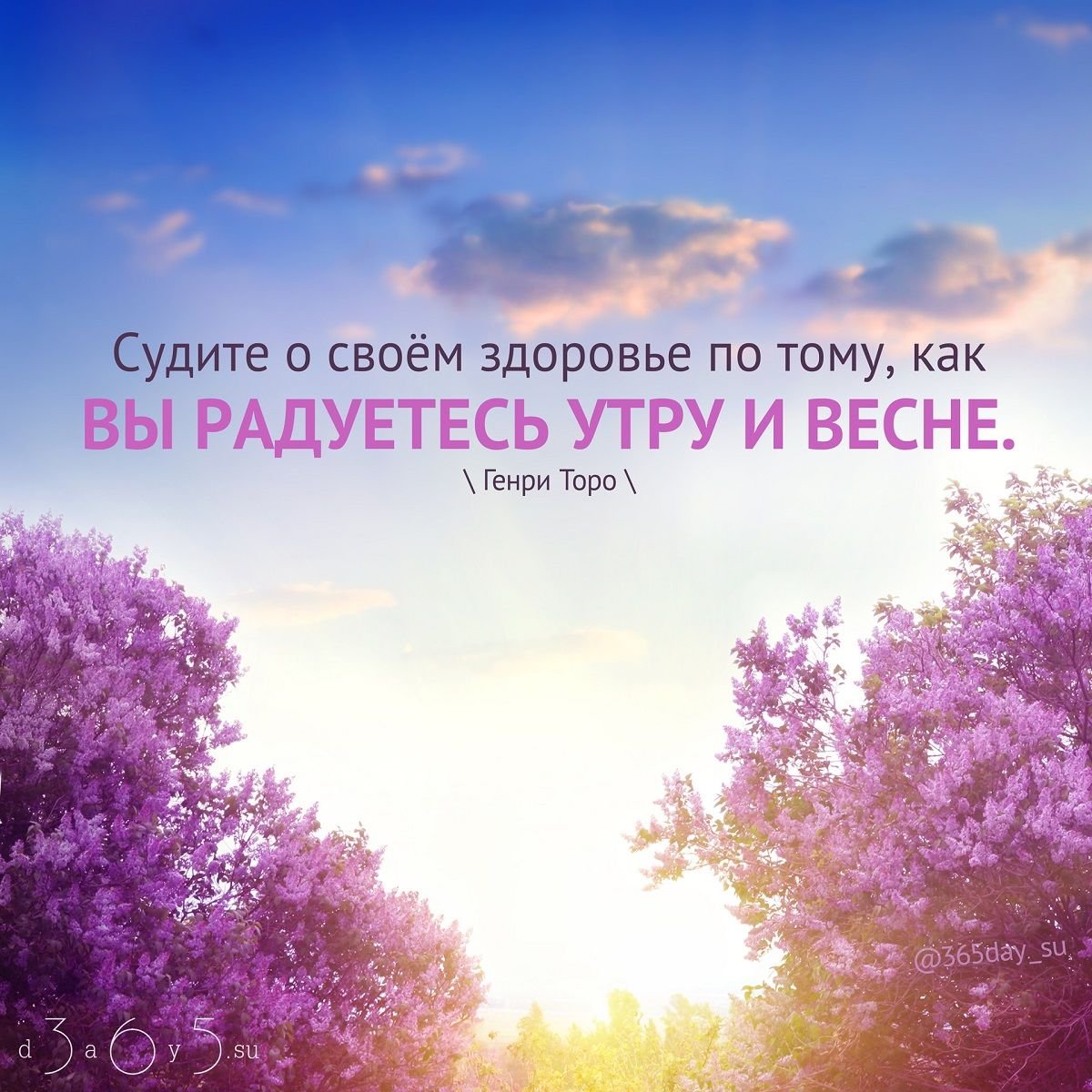 Позитивные мысли