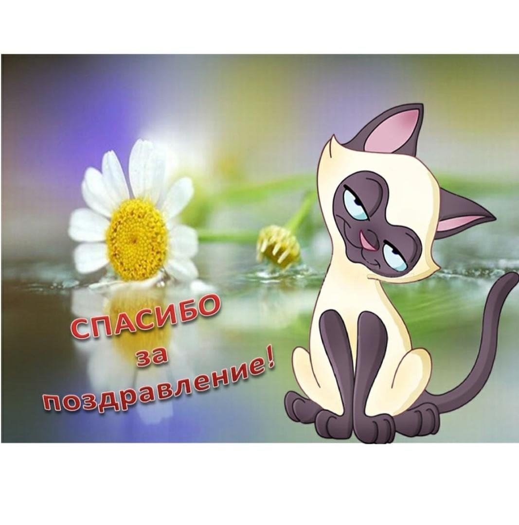 Спасибкиза поздравления