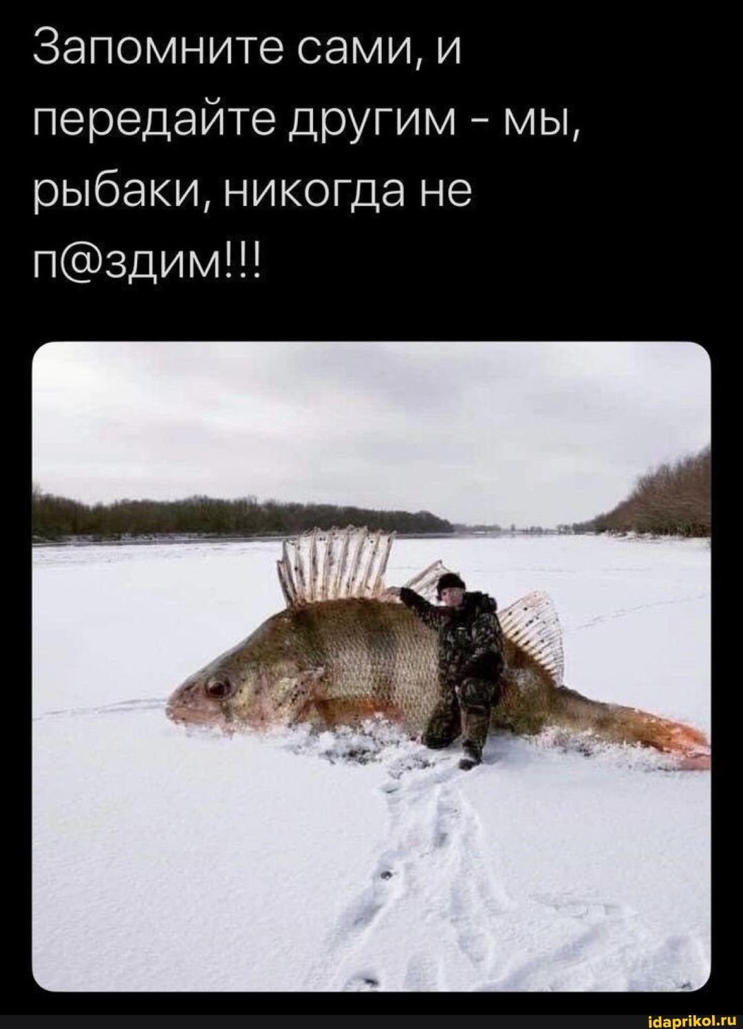 Дети на рыбалке приколы