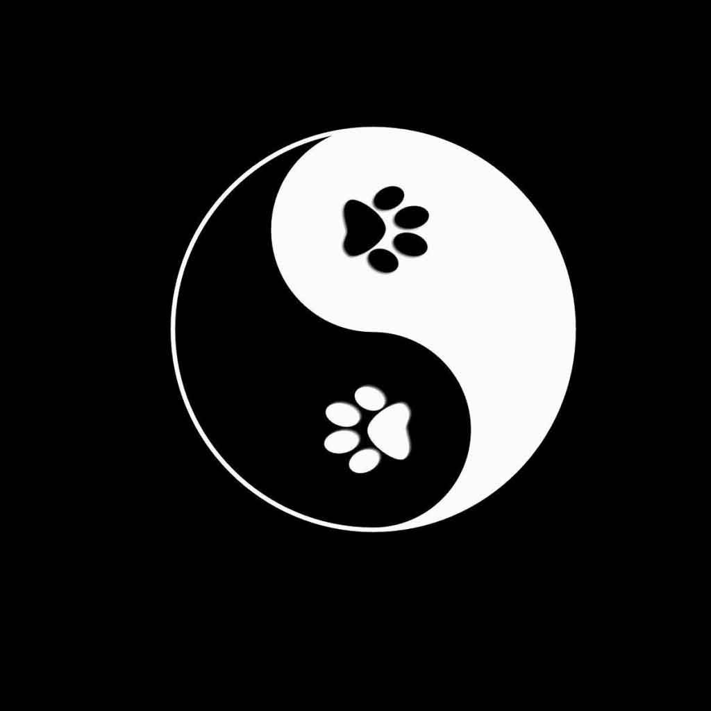 Инь Янь черно белое