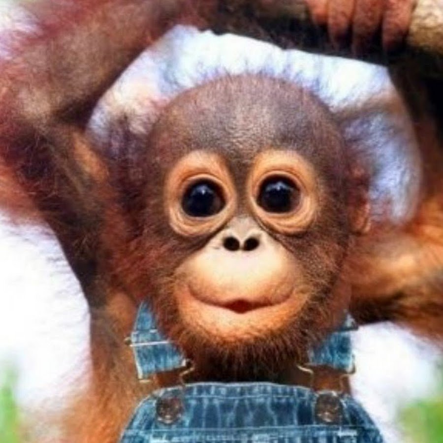 С днем рождения