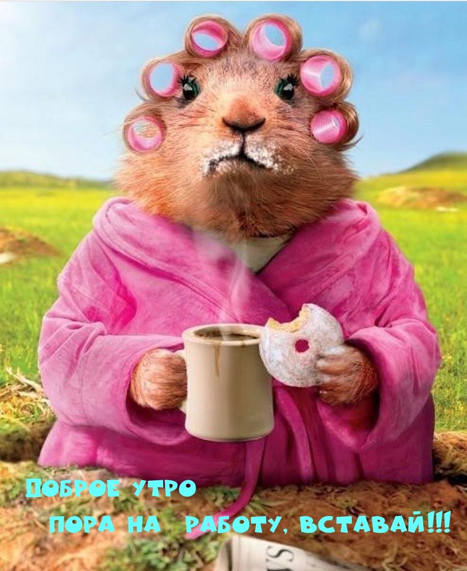 Через силу через боль просыпаюсь в 6