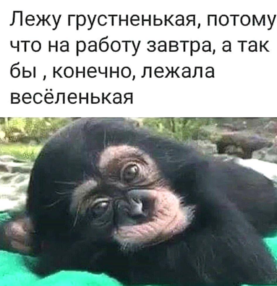 Стих про понедельник