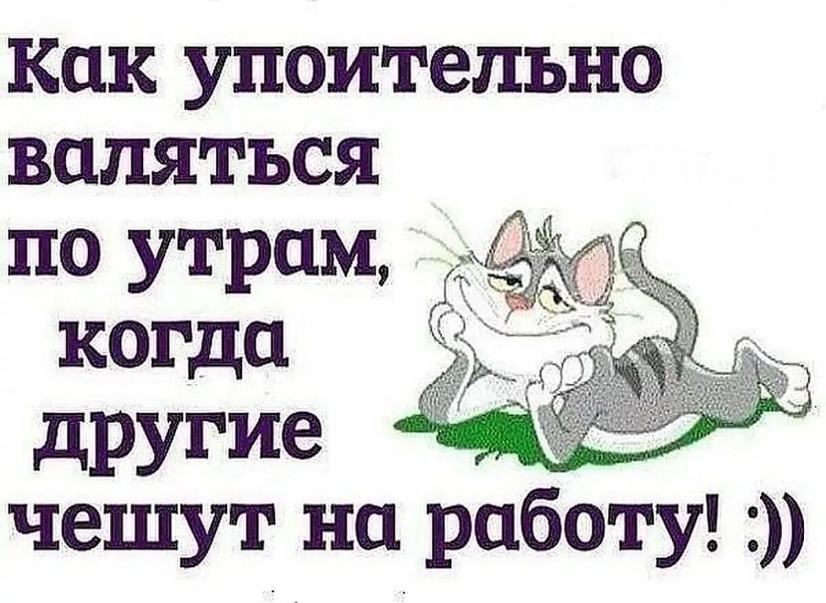 Смешные фразы про утро