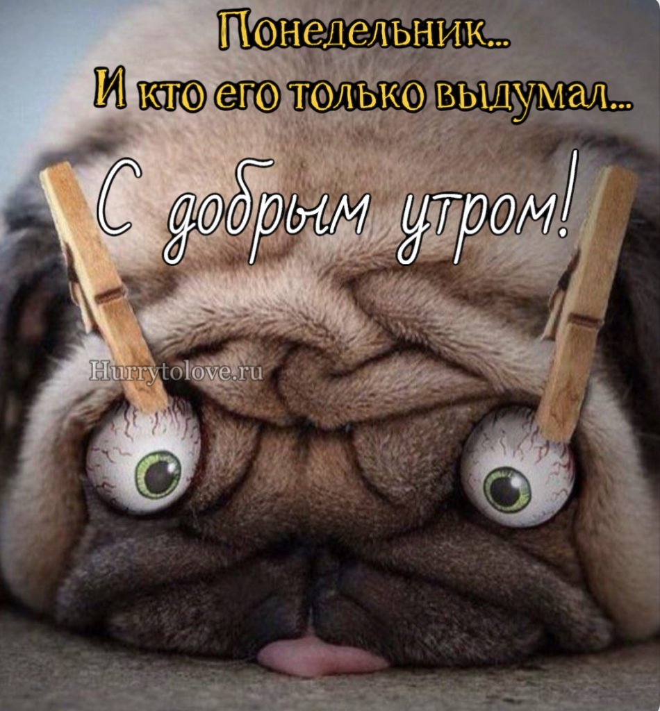 Валяюсь на диване прикол