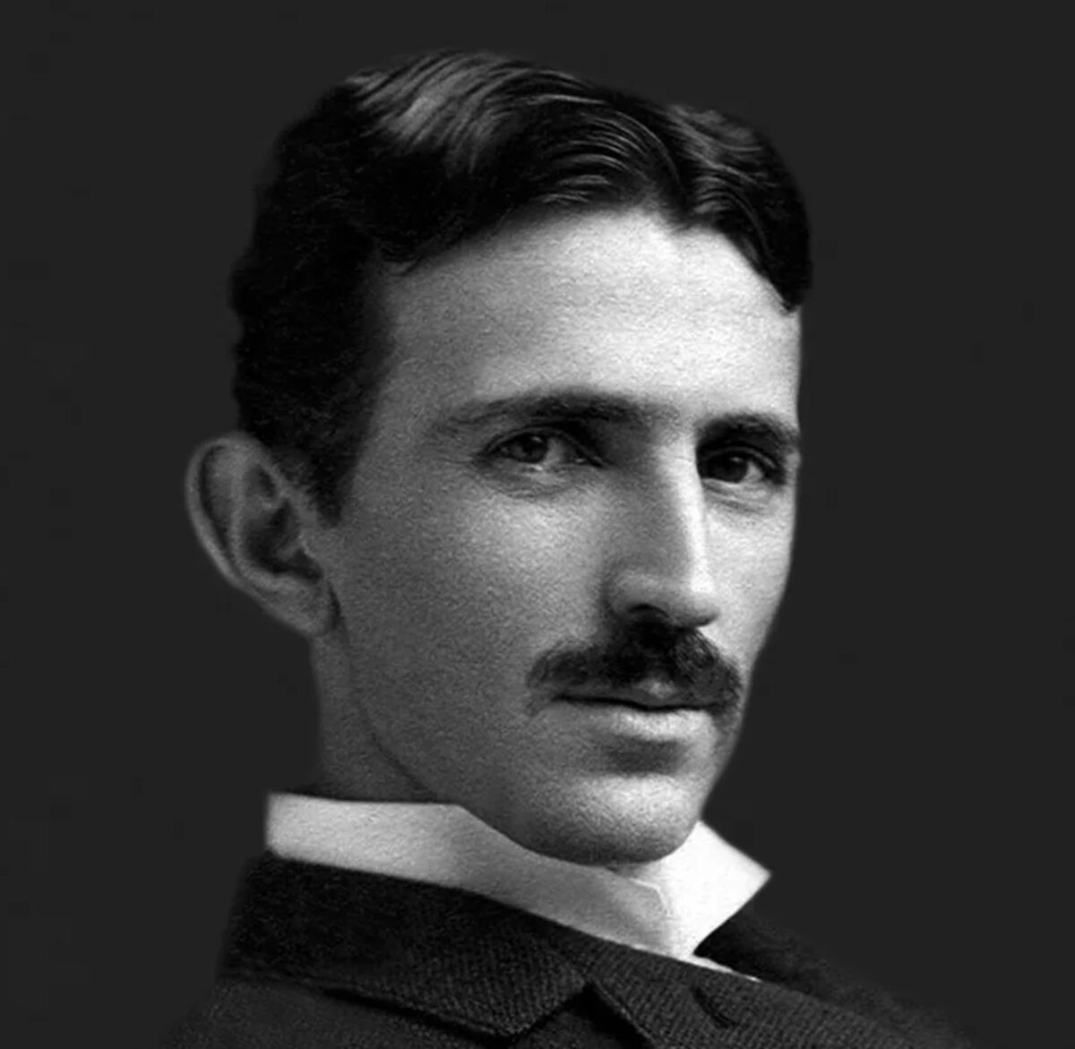 Тесла портрет