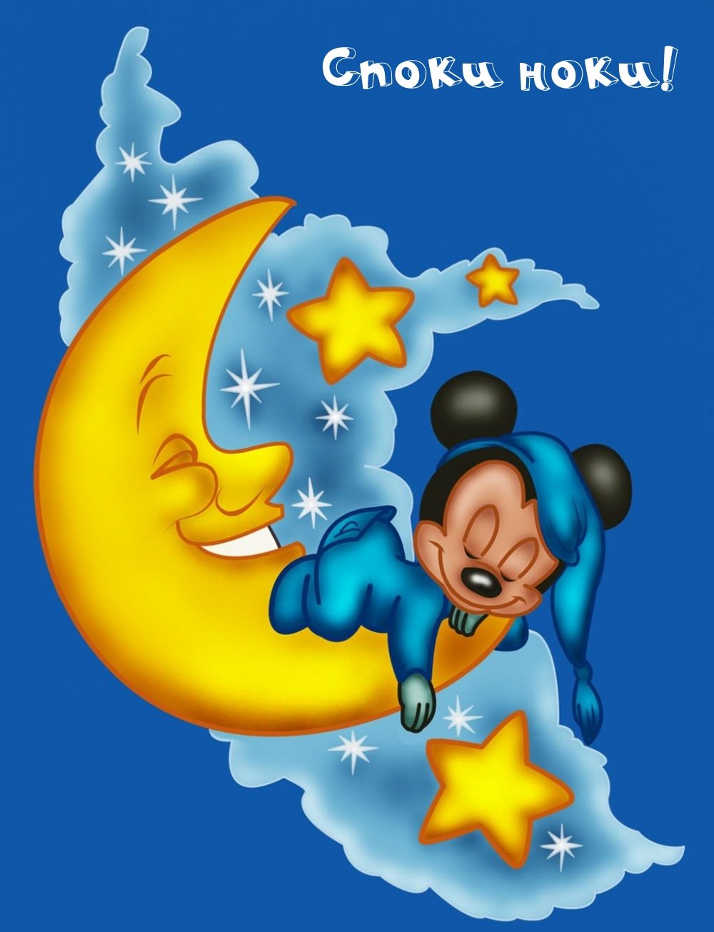 Чмоки котики