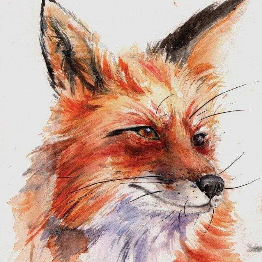 Фенек Фокс рисунок