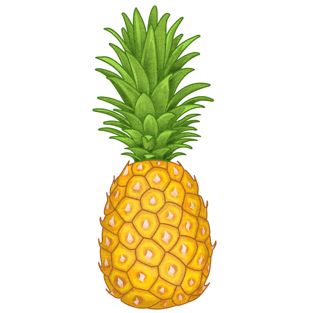 Карточки Домана фрукты ананас