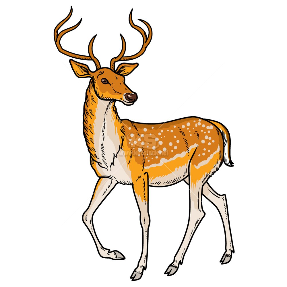 Сказочный олень на белом фоне