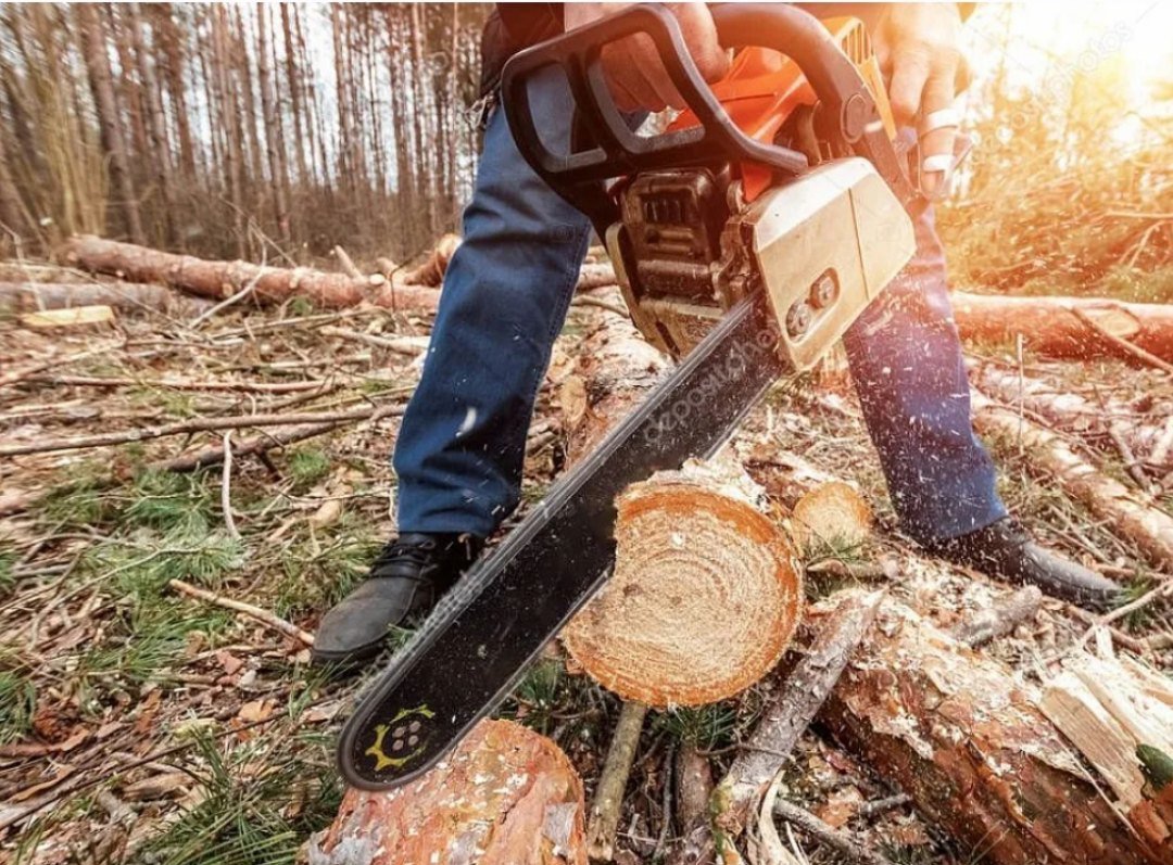 Срубать деревья бензопилой