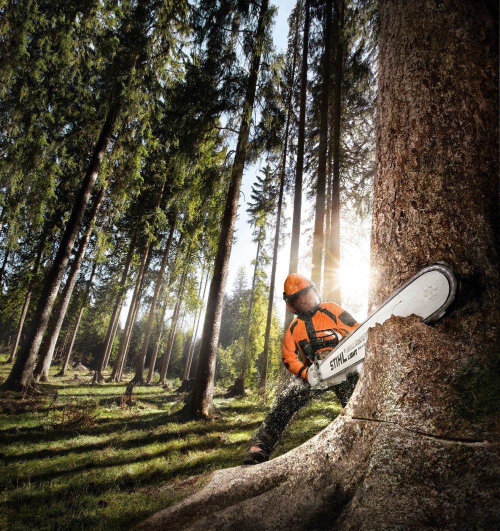 Лесоруб штиль