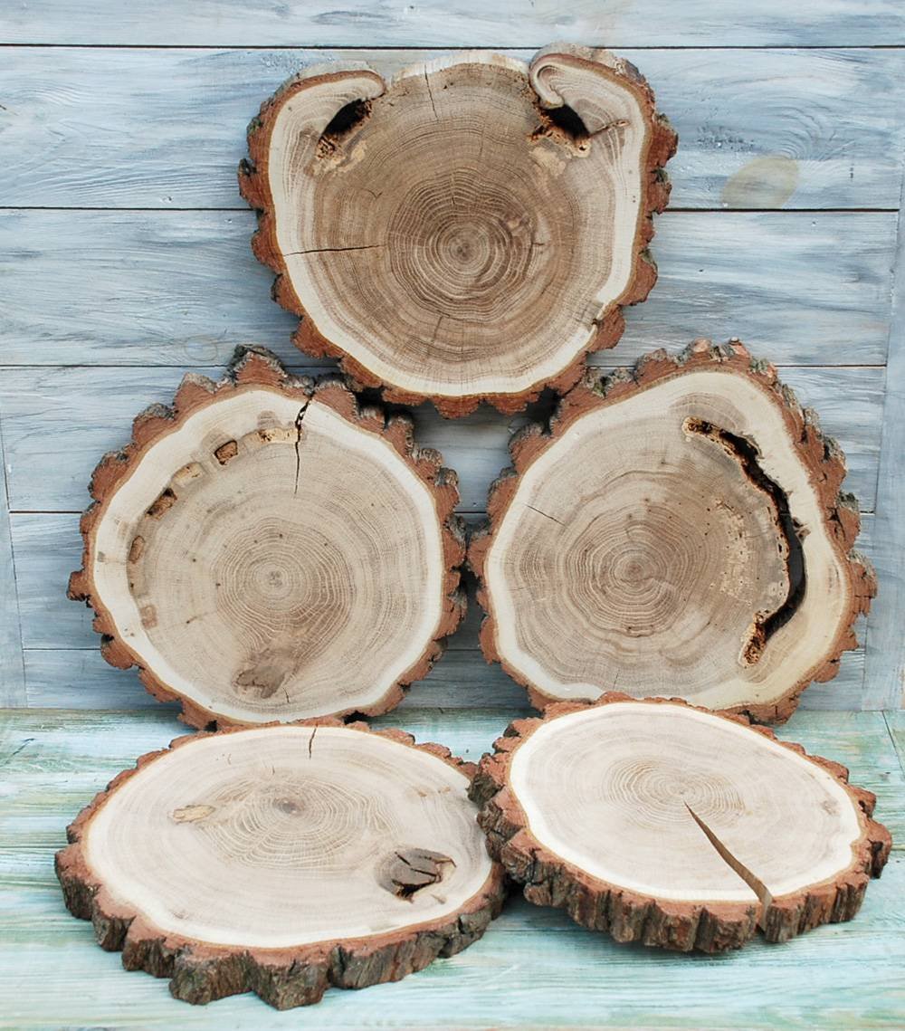 Спил дерева