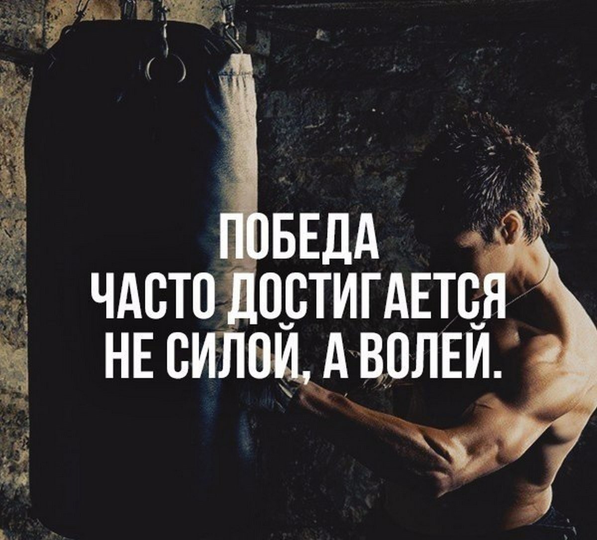 Цитаты про силу воли