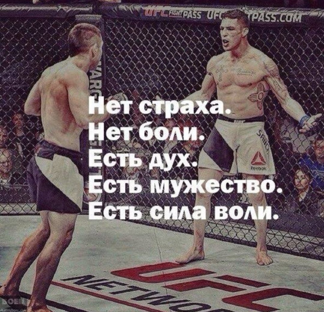 Страха нет цитаты