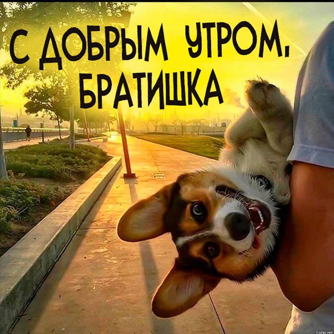 Доброе утро братишка