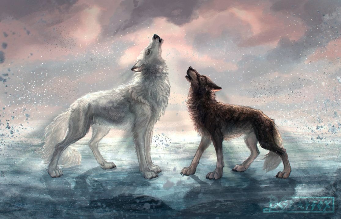 Красная шапочка и серый волк арт