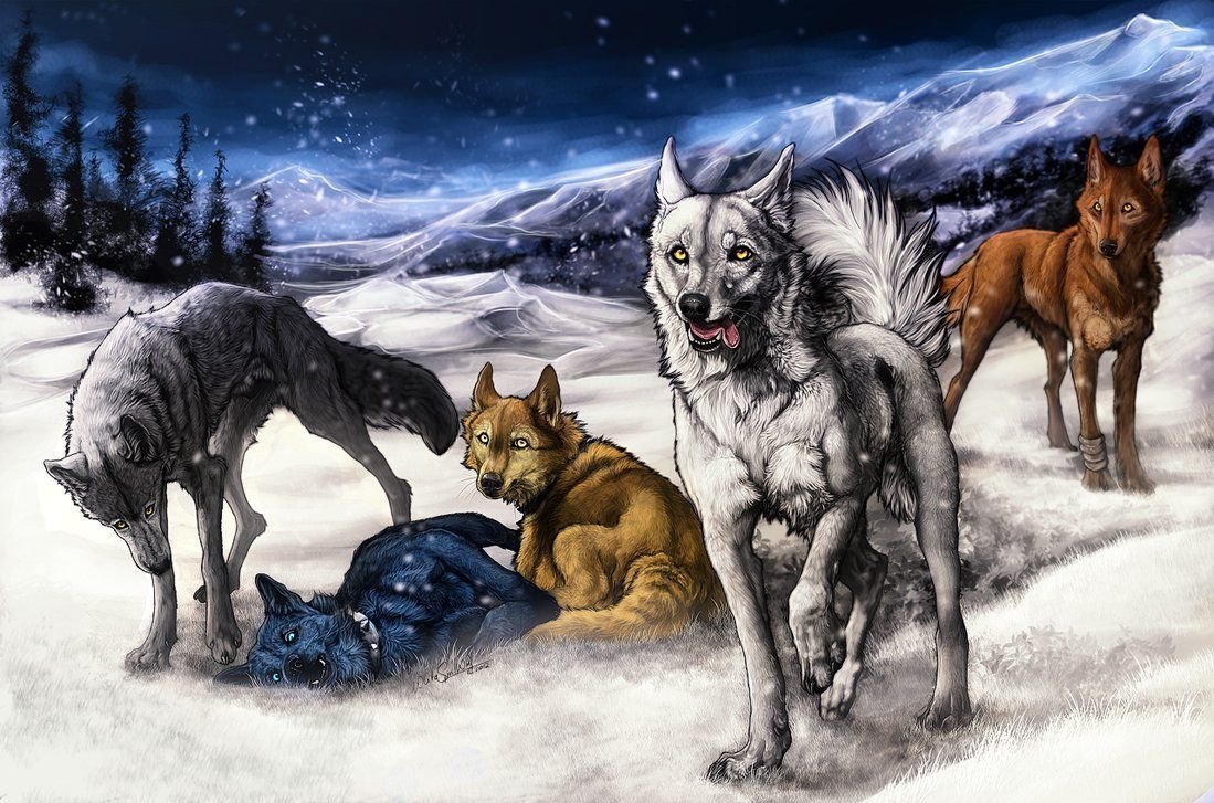 Кьяра Лобоска оборотень