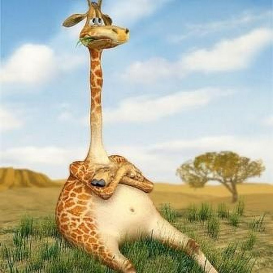 Жирафик Акакин