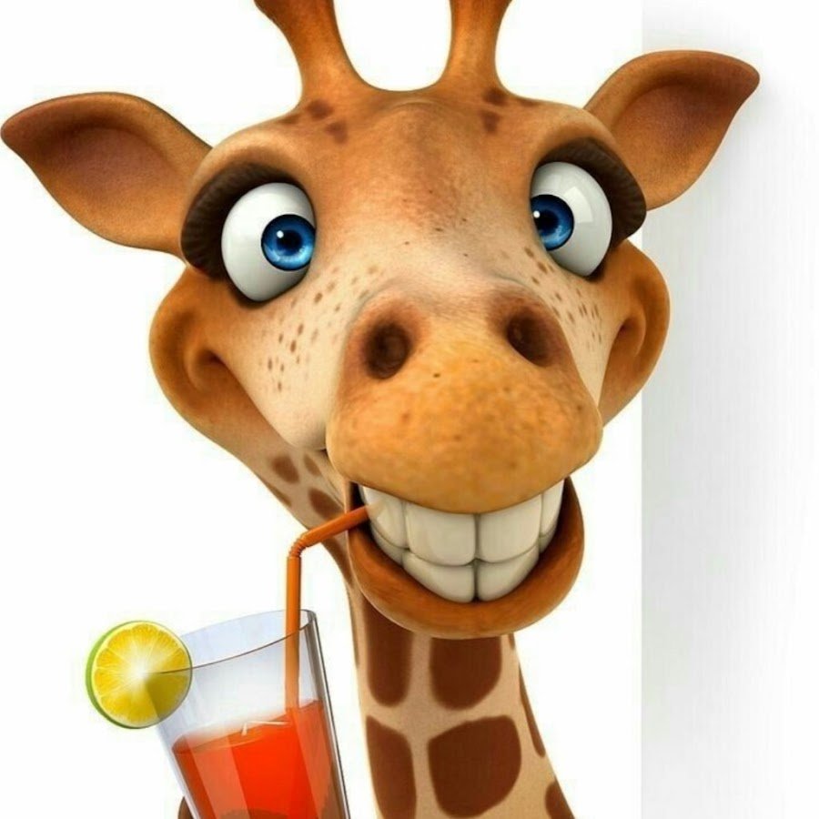 Веселый Жирафик