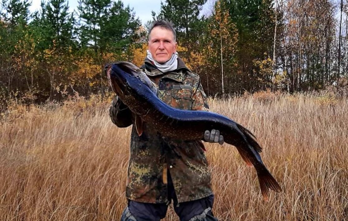 Щука атакует щуку