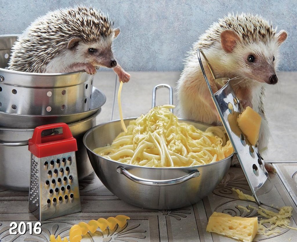 Еремина Елена Тайная жизнь ежиков