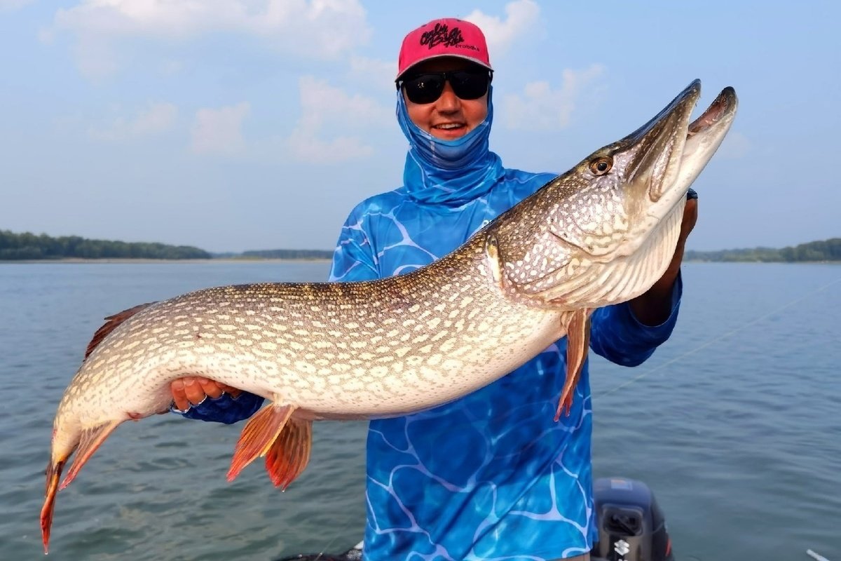 Щука фото картинки