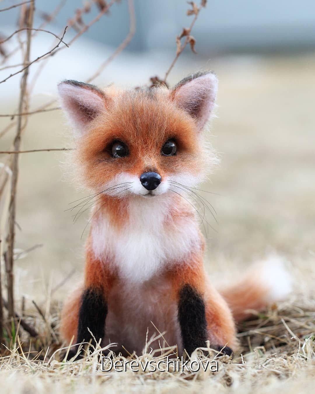 Милый Лисенок