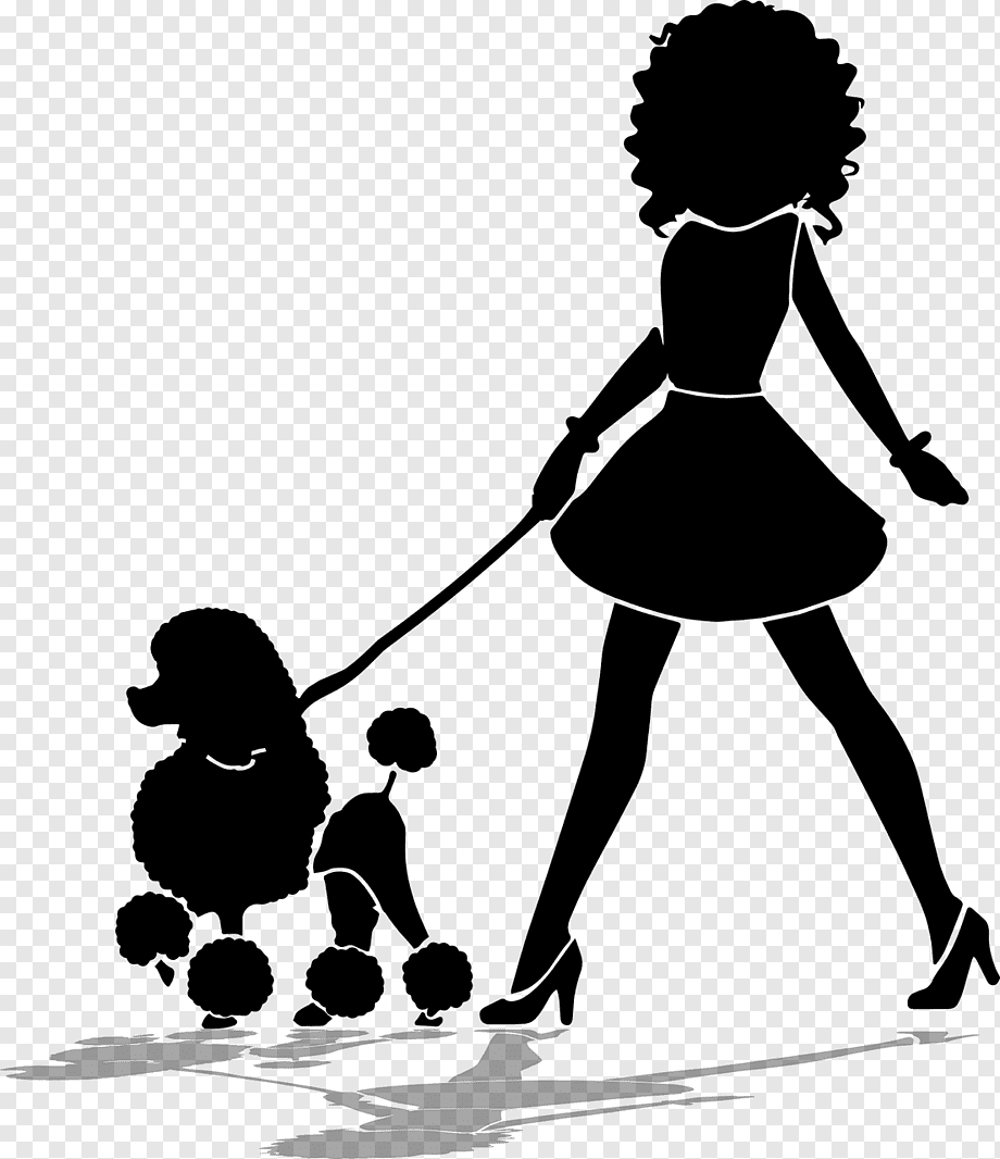 Буратино Артемон книга